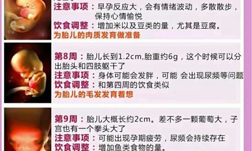 哺乳期怀孕网-分享哺乳期怀孕了做人流还可以哺乳吗，哺乳期怀孕几率大吗知识库